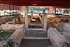 Excavación Yacimiento Domus del Mitreo (Mérida, Badajoz) . Campaña de Excavación