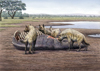 Imagen Descubren que las hienas de hace 1,5 millones de años eran exclusivamente carroñeras